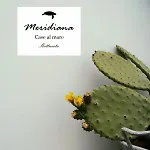 Nyaraló Meridiana Al Mare